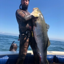 Ryan Zwick PB 52 lb Striper